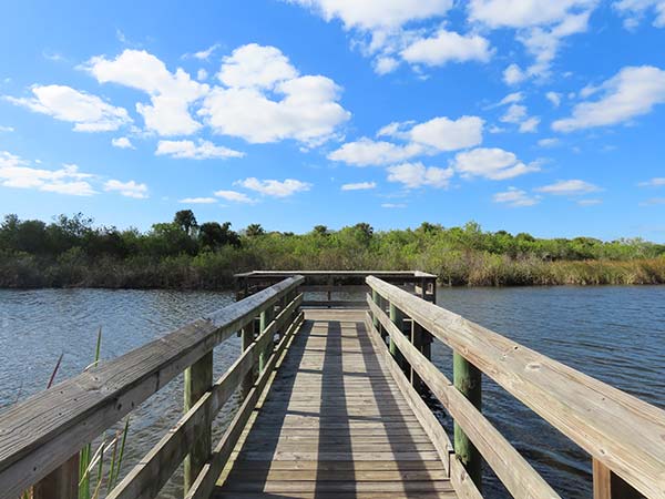 Comparing Florida's Natural Gems: Rock Springs vs Kelly Park